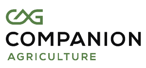 Companion AG Logo
